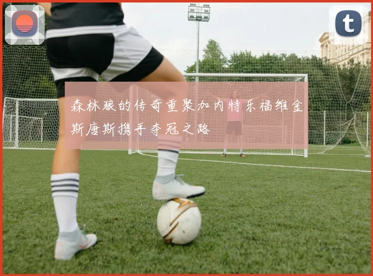 森林狼的传奇重聚加内特乐福维金斯唐斯携手夺冠之路